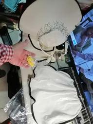 超商免運 全新 PHILIPS 飛利浦 音波震動牙刷專用原廠 刷頭 混裝 8支 歷史價格詳細信息