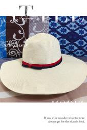 ☘️臻愛寵物店☘️美國曙光 Spring無穀餐食系列《無穀鮭魚餐 12lb/包》1歲-7歲成犬.全犬都可食用 歷史價格詳細信息