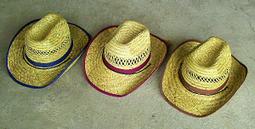 彰揚【41cm斗笠】活動學校社團團購.辦活動遊行表演、廟會進香團.園藝農耕遮陽 歷史價格詳細信息