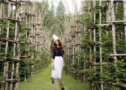 [火力全開888]冬季保暖手套男女士全指針織100%兔毛手套 纯色五指兔毛手套 歷史價格詳細信息