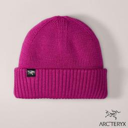 Arcteryx 始祖鳥 防風手套/軟殼手套/登山機能手套/冬季越野跑 Venta 21720 黑 歷史價格詳細信息