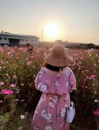 駝色原色 香檳金緞面 光澤厚織帶 金屬logo蝴蝶結 編織草帽 巴拿馬帽 遮陽帽 歷史價格詳細信息