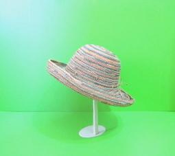 hegen 大寶成長組 歷史價格詳細信息