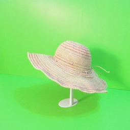 hegen 大寶成長組 歷史價格詳細信息