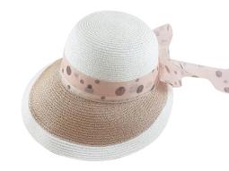 淑女款~蝴蝶結樣式草帽 歷史價格詳細信息