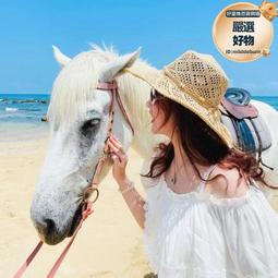 春夏新款細拉菲草優雅氣質短簷漁夫帽女百搭戶外沙灘遮陽防曬草帽 歷史價格詳細信息