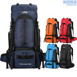 防水 大容量 戶外背包 運動旅遊60L40L登山包 雙肩包 旅行包 歷史價格詳細信息