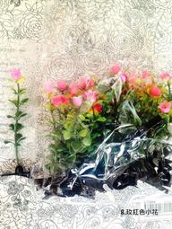網紅小花磚300x300瓷磚北歐廚房墻磚衛生間黑白浴室防滑*特價優惠 歷史價格詳細信息