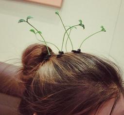 寵喵百貨 可愛貓耳朵髮箍 貓咪髮箍 貓髮箍 貓耳朵造型髮箍 貓咪耳朵髮箍 髮圈 歷史價格詳細信息