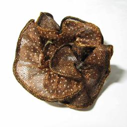 【MoDo魔荳】＊全新＊《大包裝拉不斷橡皮筋髮束。橡皮筋髮圈》〈小版彩色〉(內含5色) 超彈力不易斷不咬髮附夾鍊袋方便收 歷史價格詳細信息