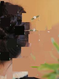 【❀竹倚】天然和田玉竹葉手鏈女夏2024年新款輕奢小眾送閨蜜手串 歷史價格詳細信息