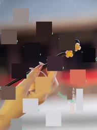 【lin】法國輕奢設計師弦思黑檀木發簪子新中式古風發釵 歷史價格詳細信息