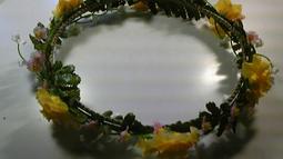 全新日影《黃色大象》DVD 宮崎葵 向井理 濱田龍臣 淺見姬香 本田望結 歷史價格詳細信息