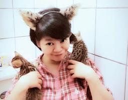 ???????????????? 棕色 豹紋 托特包 帆布包 單肩包 手提包 帆布袋 購物袋 肩背 百搭 手提袋 歷史價格詳細信息