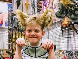 狐狸姬，金色對吻超細腰帶皮帶 (單腰帶) 歷史價格詳細信息