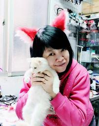 鈴鈴的賣場/耳朵髮箍12/灰色豹紋/Cat Ears/髮飾/道具/lolita髮飾/狐狸耳/長毛貓耳朵/毛絨耳朵/手工/ 歷史價格詳細信息