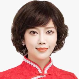 台灣現貨假髮女 短髮女 自然全頭套式網紅圓臉短捲髮 減齡羊毛卷仿真假髮套 修臉減齡假髮  露天市集  全台最大的網路購物 歷史價格詳細信息