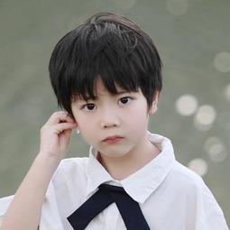 假髮男全頭套式韓版帥氣男生微分碎蓋短髮自然男士日常蓬鬆假髮套 歷史價格詳細信息