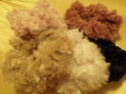 &hearts;超便宜Leo品小舖&hearts;職棒明星兄弟象公仔絕版收藏【現貨供應】 歷史價格詳細信息