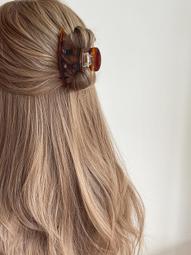 韓國France純黑大號抓夾 2023新款ins簡約氣質髮飾盤髮醋酸鯊魚夾 歷史價格詳細信息