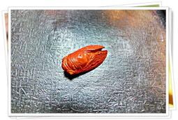 專櫃 高品質【OBIYUAN】牛仔褲 彈力 刷色 破壞 補釘 寬鬆 單寧長褲【Y039】 歷史價格詳細信息