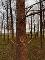 銅件2P100A閘刀開關 雙向倒順開關 新型雙投閘刀 hk11負荷開關 歷史價格詳細信息