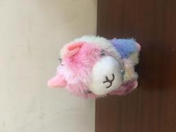 彩色 物理治療鑒別診斷 篩檢與轉介 Catherine Cavallaro Goodman 歷史價格詳細信息