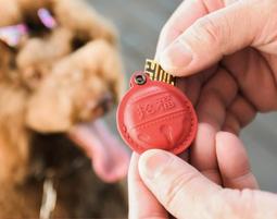 大甲鎮瀾宮 拉金舞龍喵 金五財龍龜 沖天舞龍喵 報福舞龍喵 捧錢龍(繞境限定版) 爆金龍(建醮繞境限定版) 歷史價格詳細信息