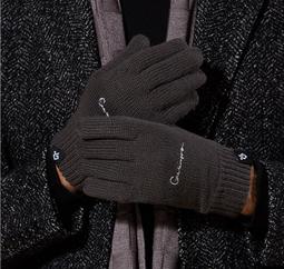 新款針織手套可觸屏冬天手套 保暖手套 女生手套 女士秋冬季毛線加絨戶外保暖韓版可愛 歷史價格詳細信息