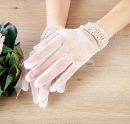 ?表演手套? 紅色絲絨長款 手套 耶誕節寫真生日派對拍照 手套 新娘敬酒服禮服配飾 歷史價格詳細信息