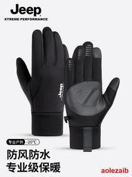 jeep吉普手套男士保暖加絨2022冬季新款騎行防寒麂皮絨開車觸屏女 歷史價格詳細信息