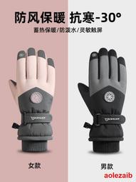 滑雪手套男女冬季防水觸屏跑步運動騎行裝備加絨厚保暖防風棉手套 歷史價格詳細信息