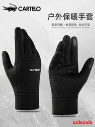 騎行手套女冬季摩托可觸屏保暖加絨加厚防寒情侶棉騎車手套男防風 歷史價格詳細信息