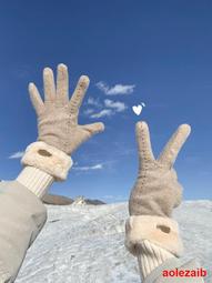 手套女冬季加厚加絨騎車防寒可觸屏騎行電動車保暖蝴蝶結棉手套女 歷史價格詳細信息