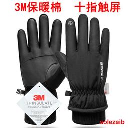 冬季戶外加厚保暖摩托車機車騎行騎車手套男士加絨防寒棉防風防摔 歷史價格詳細信息