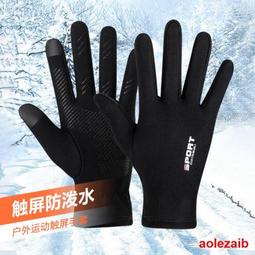 戶外滑雪內膽手套冬季騎車防風防滑運動抗菌保暖手套翻指觸屏DB72 歷史價格詳細信息