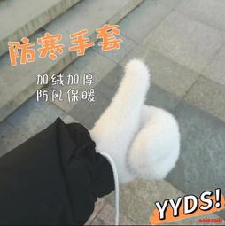 手套冬季女韓版ins加絨加厚保暖騎行開車冬天防滑可觸屏可愛學生 歷史價格詳細信息