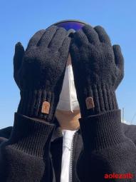 手套女冬季保暖觸屏男騎行電動摩托車防寒發熱絨秋季薄款情侶手套 歷史價格詳細信息