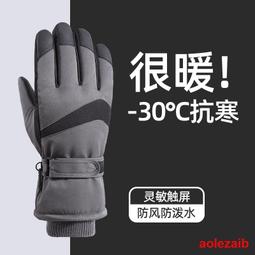 手套男冬季滑雪防水加絨加厚棉保暖防風防寒電動摩托車騎行手套女 歷史價格詳細信息