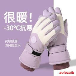 滑雪手套女冬季騎行防風防寒加絨厚棉冬電動車玩雪騎車保暖手套男 歷史價格詳細信息