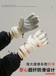 騎行滑雪觸屏手套女士冬季保暖加絨加厚騎車防風防寒2023新款情侶 歷史價格詳細信息