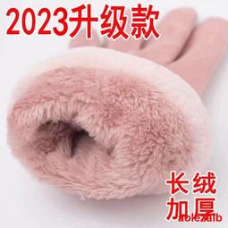 秋冬季保暖德絨手套女士可愛防風冬天手套騎車觸屏開車騎行手套 歷史價格詳細信息