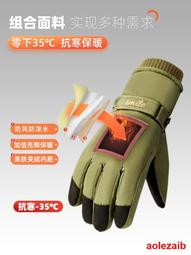 手套男冬季滑雪防水加絨加厚棉保暖防風防寒電動摩托車騎行手套女 歷史價格詳細信息