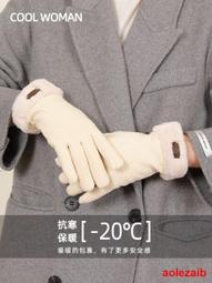 滑雪手套女冬季保暖可觸屏防寒玩雪防潑水加絨厚騎行電動車手套男 歷史價格詳細信息