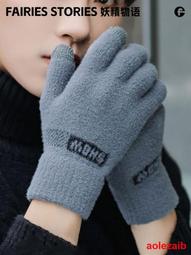 冬季保暖手套男加絨加厚騎行防風寒棉手套摩托車手套~熱賣中 歷史價格詳細信息