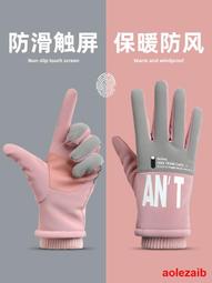 情侶冬季保暖手套男女防水騎行加絨防風防寒戶外騎車開車防滑觸屏 歷史價格詳細信息