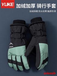 冬季騎行手套男款防水防滑耐磨可觸屏電動車加絨加厚保暖手套女士 歷史價格詳細信息