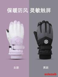 騎行手套女冬季戶外滑雪登山保暖2023新款摩托車電動車觸屏手套男 價格比較,價格查詢,歷史價格詳細信息