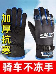 騎行手套女冬季摩托可觸屏保暖加絨加厚防寒情侶棉騎車手套男防風 歷史價格詳細信息