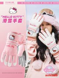 騎行滑雪觸屏手套女士冬季保暖加絨加厚騎車防風防寒2023新款情侶 歷史價格詳細信息